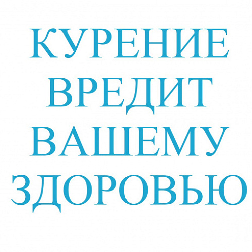 Сертификат на BORN carter красные (Адыгея) 1/10